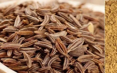 Can Cumin Really Help Lower Blood Sugar and Aid Weight Loss?