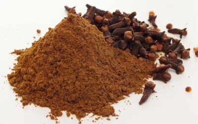 Cloves – The Tiny Spice That Packs a Powerful Punch